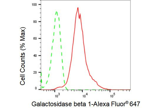 beta Galactosidase Antibody in Flow Cytometry (Flow)