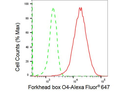 FOXO4 Antibody in Flow Cytometry (Flow)