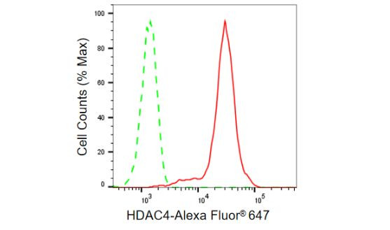 HDAC4 Antibody in Flow Cytometry (Flow)