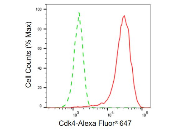 CDK4 Antibody in Flow Cytometry (Flow)