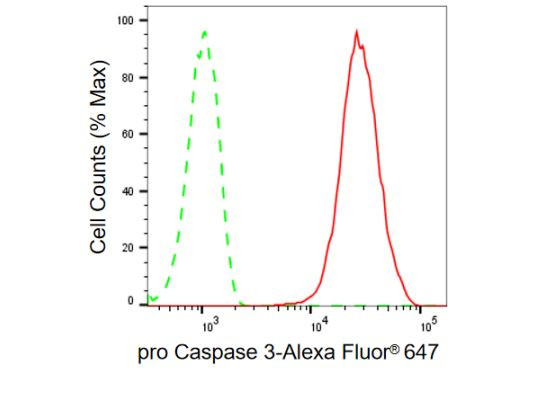 pro-Caspase 3 Antibody in Flow Cytometry (Flow)