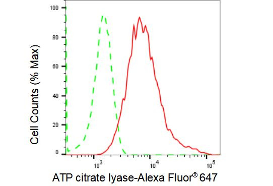 ATP Citrate Lyase Antibody in Flow Cytometry (Flow)