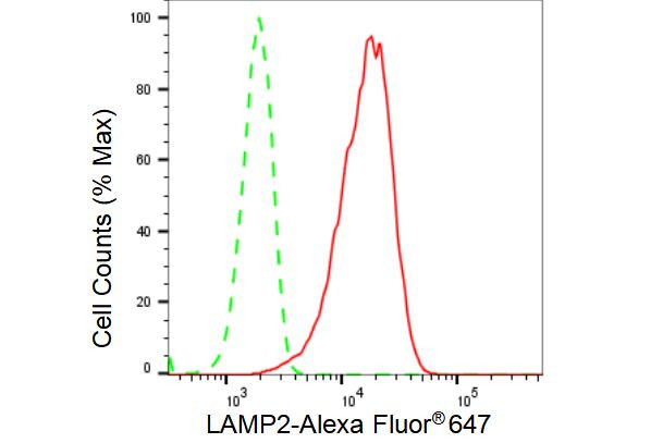 LAMP2 Antibody in Flow Cytometry (Flow)