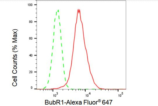 BUBR1 Antibody in Flow Cytometry (Flow)