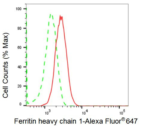 Ferritin Heavy Chain Antibody in Flow Cytometry (Flow)