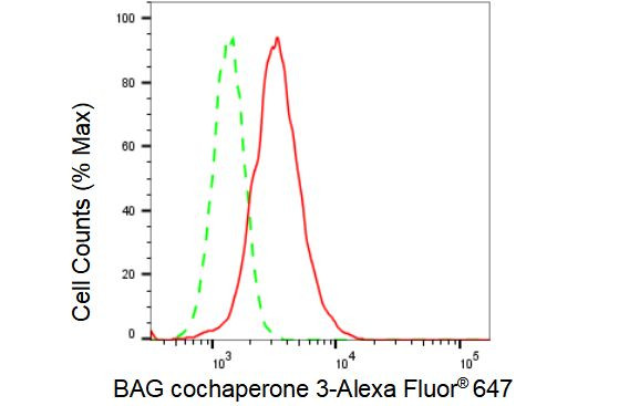 BAG3 Antibody in Flow Cytometry (Flow)