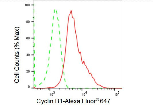 Cyclin B1 Antibody in Flow Cytometry (Flow)