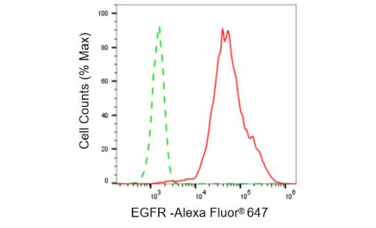 EGFR Antibody in Flow Cytometry (Flow)