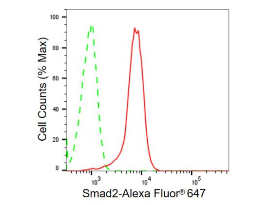 SMAD2 Antibody in Flow Cytometry (Flow)