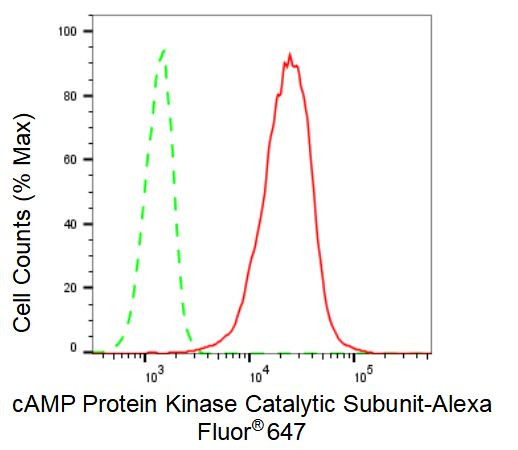 PKC alpha Antibody in Flow Cytometry (Flow)