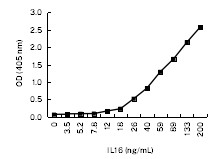 IL-16 Antibody in ELISA (ELISA)