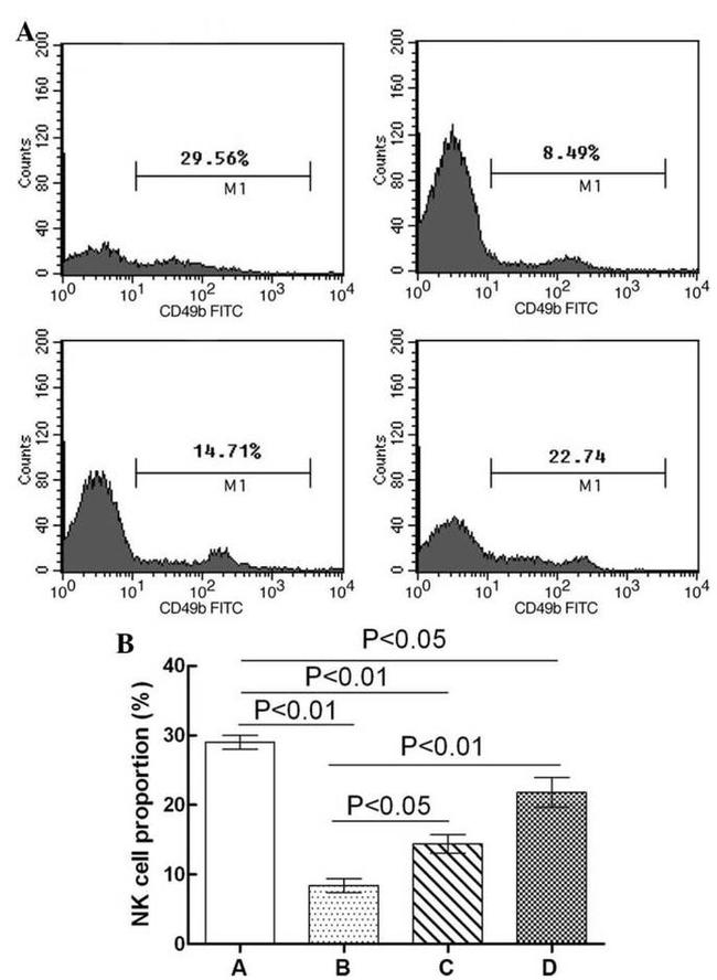 ITGA2 Antibody in Flow Cytometry (Flow)