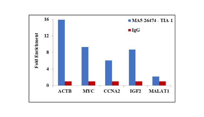 TIA-1 Antibody in RNA Immunoprecipitation (RIP)