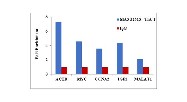 TIA-1 Antibody in RNA Immunoprecipitation (RIP)