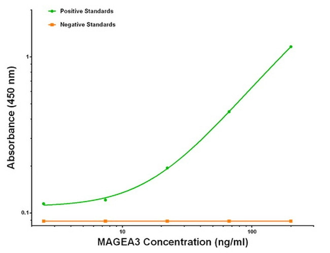 MAGEA3 Antibody in ELISA (ELISA)