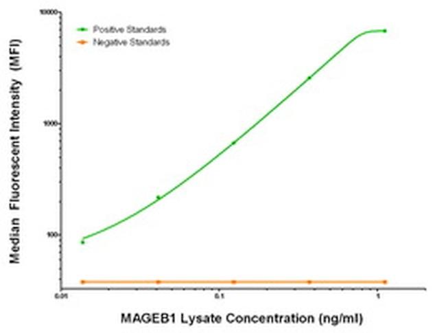 MAGEB1 Antibody in Luminex (LUM)