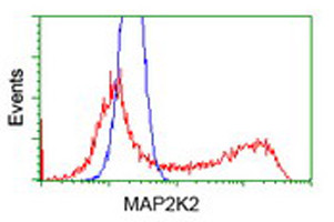 MAP2K2 Antibody in Flow Cytometry (Flow)