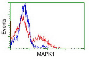 MAPK1 Antibody in Flow Cytometry (Flow)