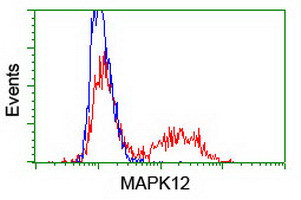 MAPK12 Antibody in Flow Cytometry (Flow)