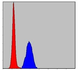 ERK1 Antibody in Flow Cytometry (Flow)