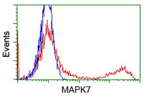 MAPK7 Antibody in Flow Cytometry (Flow)