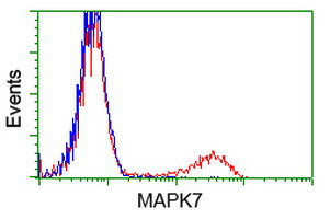 MAPK7 Antibody in Flow Cytometry (Flow)