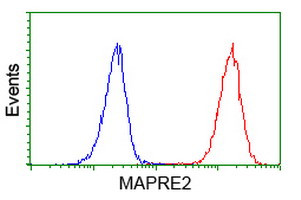 EB2 (MAPRE2) Antibody in Flow Cytometry (Flow)