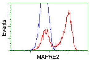 EB2 (MAPRE2) Antibody in Flow Cytometry (Flow)