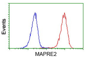 EB2 (MAPRE2) Antibody in Flow Cytometry (Flow)