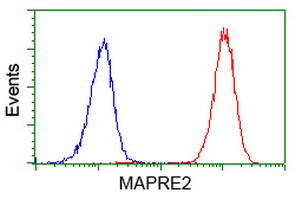 EB2 (MAPRE2) Antibody in Flow Cytometry (Flow)