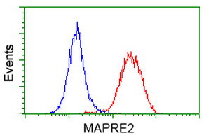 EB2 (MAPRE2) Antibody in Flow Cytometry (Flow)