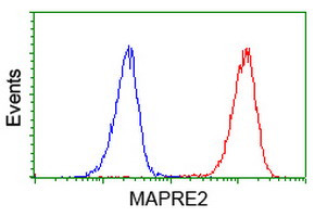 EB2 (MAPRE2) Antibody in Flow Cytometry (Flow)