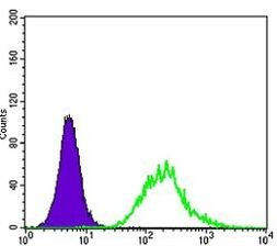 MATK Antibody in Flow Cytometry (Flow)