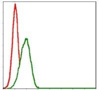 MBP Antibody in Flow Cytometry (Flow)