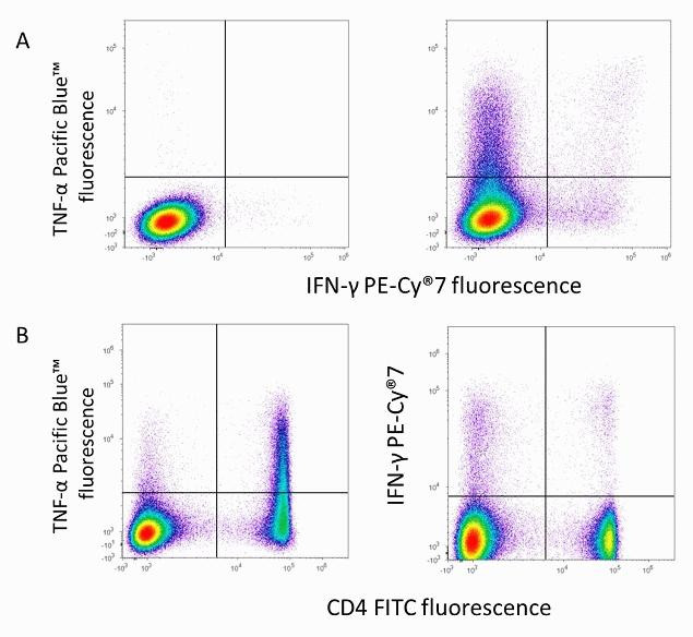 CD4 Antibody in Flow Cytometry (Flow)