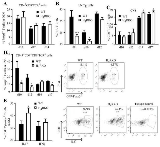 CD4 Antibody in Flow Cytometry (Flow)