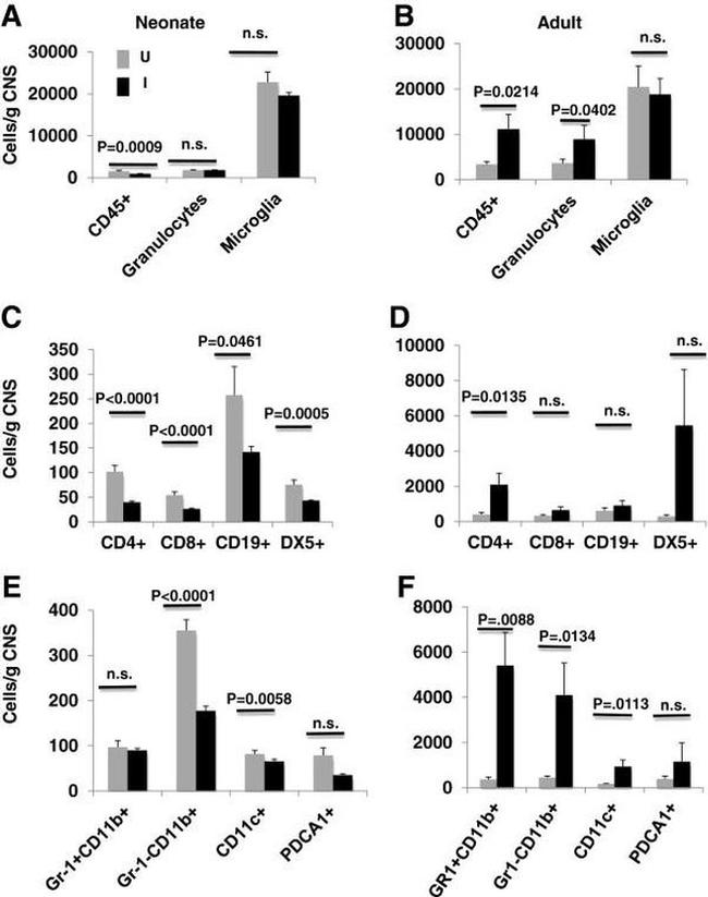 CD4 Antibody in Flow Cytometry (Flow)