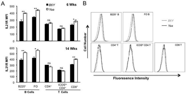 CD4 Antibody in Flow Cytometry (Flow)