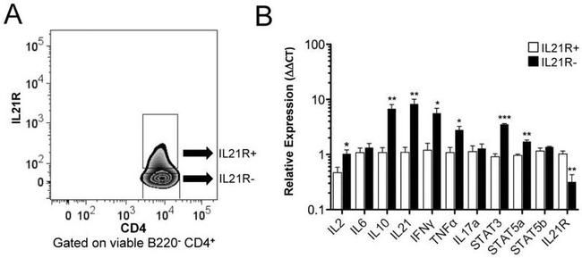 CD4 Antibody in Flow Cytometry (Flow)