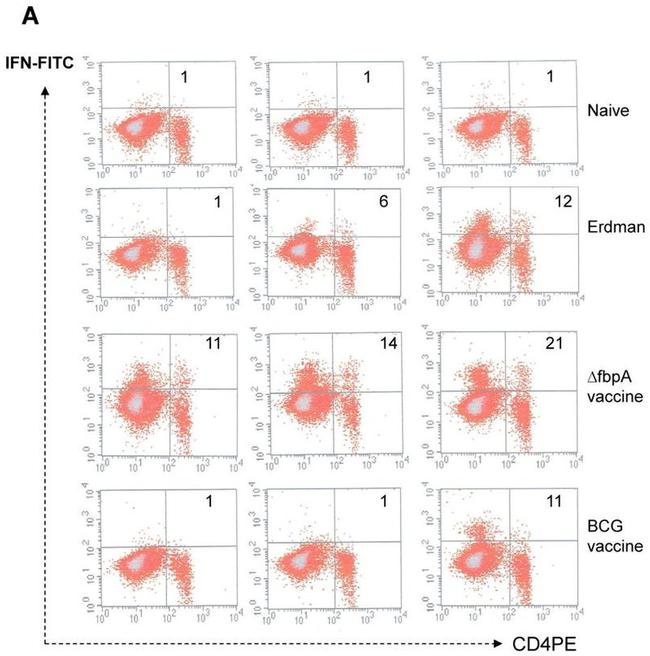 CD4 Antibody in Flow Cytometry (Flow)