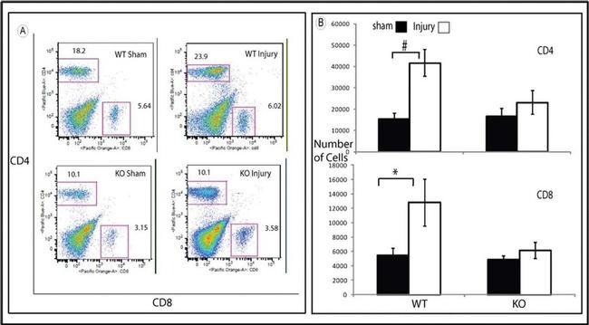 CD8 alpha Antibody in Flow Cytometry (Flow)