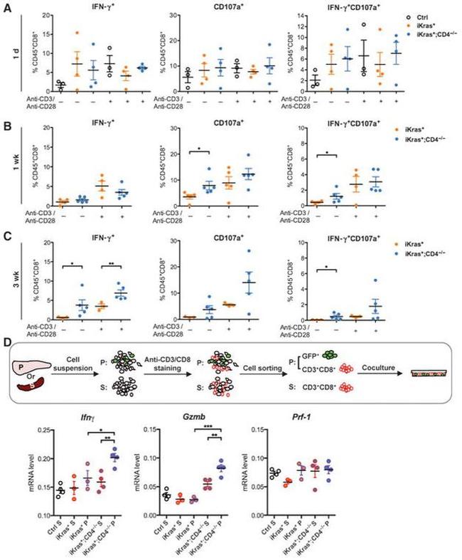 CD45 Antibody in Flow Cytometry (Flow)