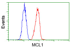 MCL1 Antibody in Flow Cytometry (Flow)