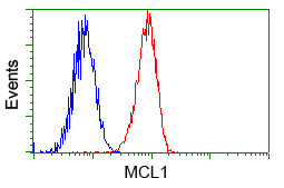 MCL1 Antibody in Flow Cytometry (Flow)