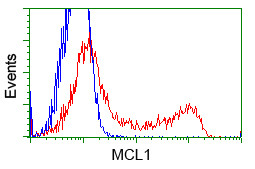 MCL1 Antibody in Flow Cytometry (Flow)