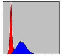 MCM2 Antibody in Flow Cytometry (Flow)