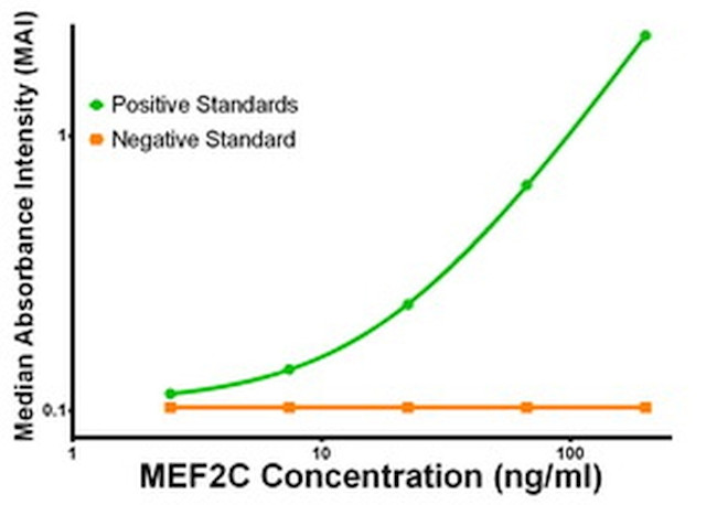 MEF2C Antibody in ELISA (ELISA)