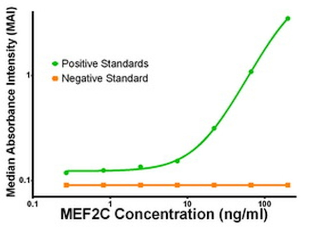 MEF2C Antibody in ELISA (ELISA)