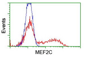 MEF2C Antibody in Flow Cytometry (Flow)