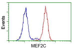 MEF2C Antibody in Flow Cytometry (Flow)